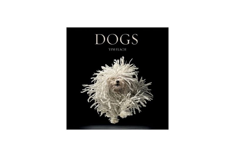 Dogs