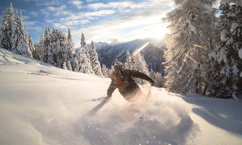 Man powder skiing, Alps, Zauchensee, Austria