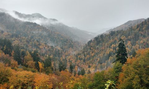 booking com early us travel deals 2021 pigeon forge tennessee dot