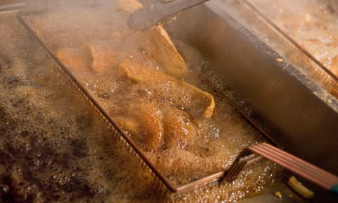 best fish fryer horace  amp dickies