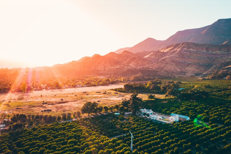 Ojai