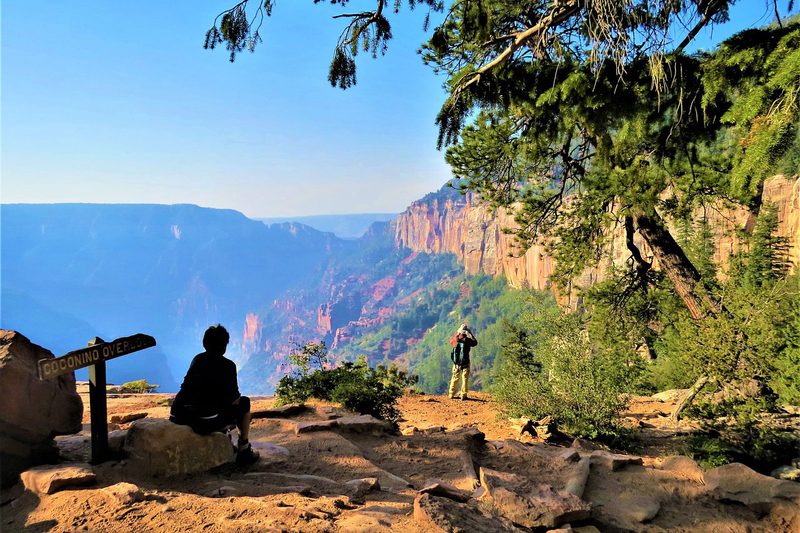 Coconino Overlook at the North Rim of the Grand Canyon