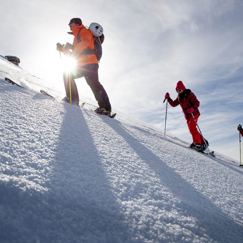 Nordica skis