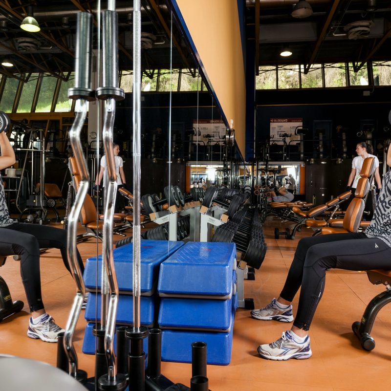 Seated dumbbell military press
