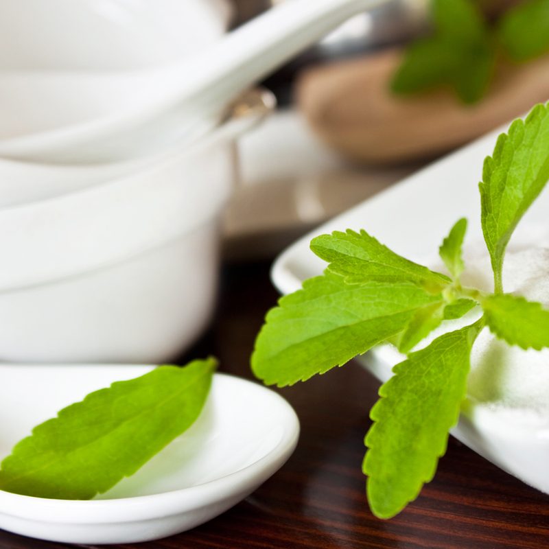 Stevia with leaves