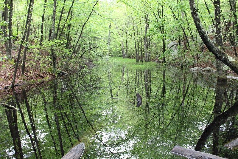 Middlesex Fells Reservation