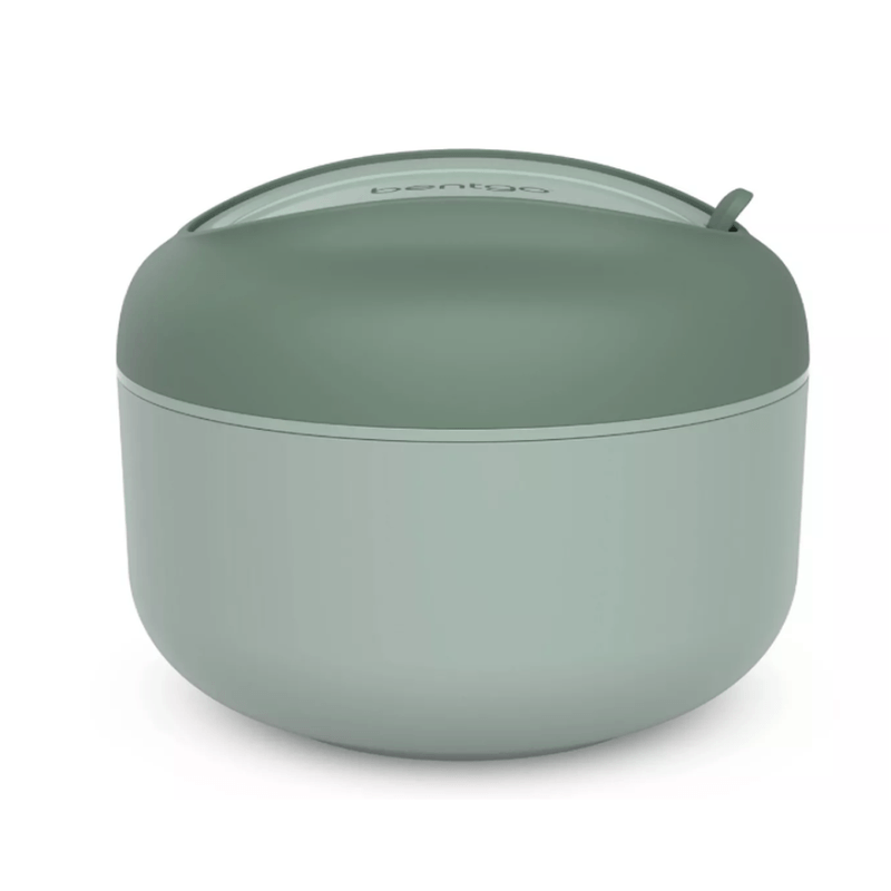 Bentgo Bowl.