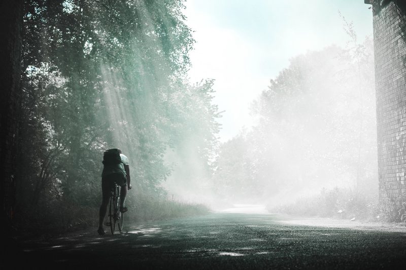 Bicycle Rider cycling in a forest.