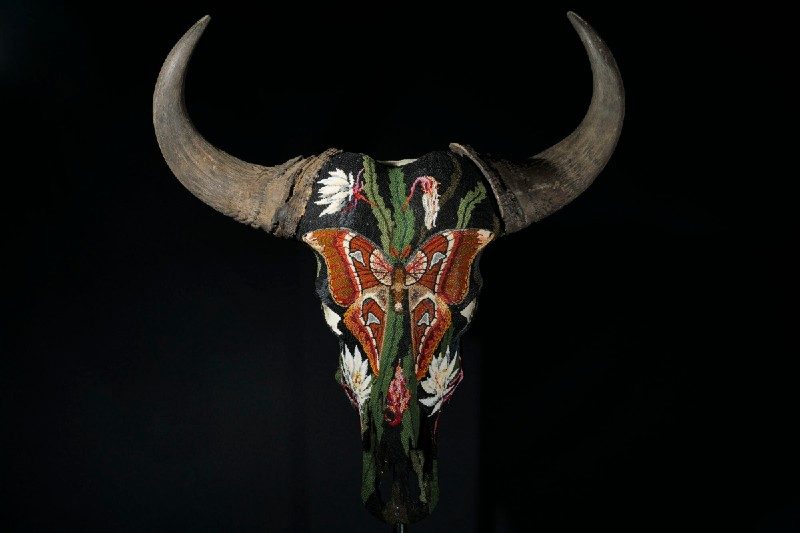 Atlas Moth Cape Buffalo 2020 by Carter Watkins