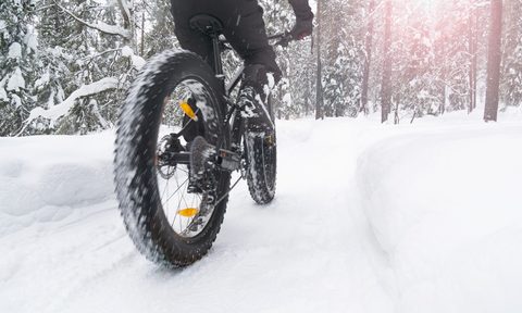 best fat tire bikes biking in the winter forests and fells