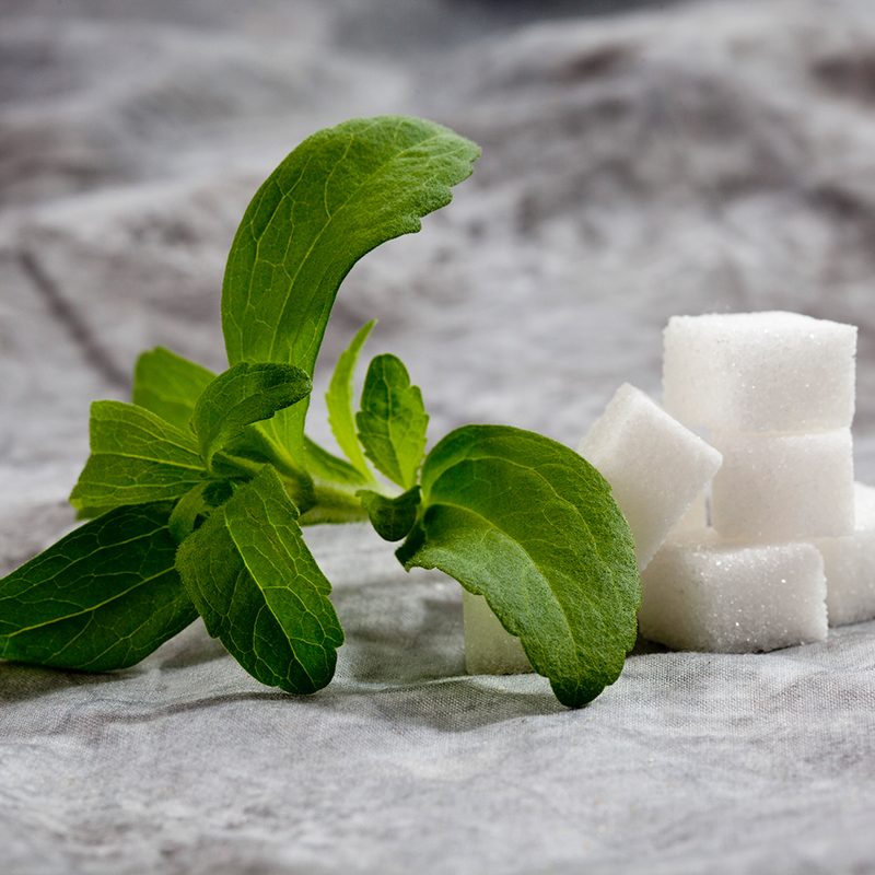 Stevia blocks