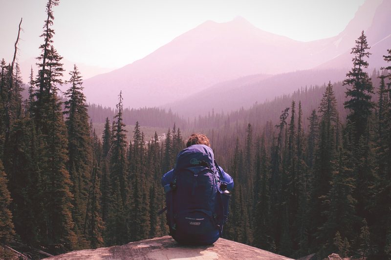 backpack for travel and hiking Large Backpacks for Travel | Mountain Warehouse US