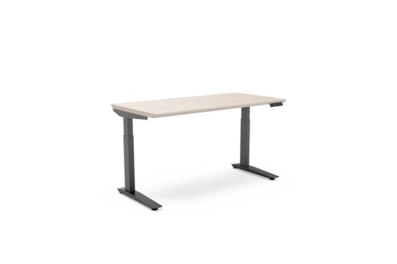 Desk: Floyd Standing Desk on a white background.