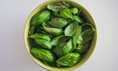 High angle view of basil In a bowl