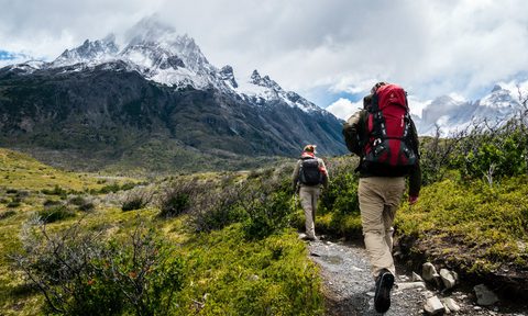 Two hikers trekking a lush green trail with snow-capped mountains in the background.