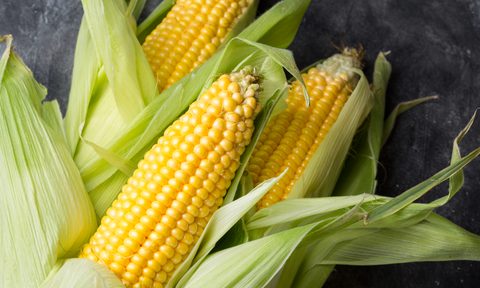 how to reheat corn on the cob fresh dark background