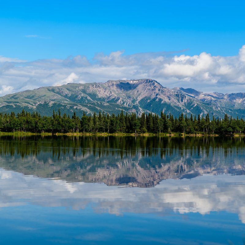 Hiking Denali National Park in Alaska