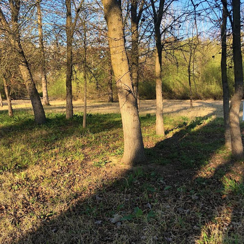 The start of the Heritage Oak Trail that leads from the winery to the river.