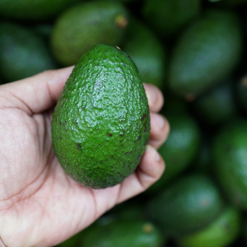 Person holding a green avocado