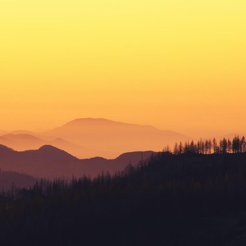 Kings Canyon National Park