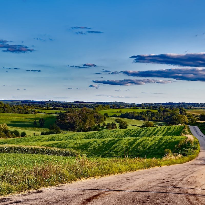 lush, green farmland in Wisconsin