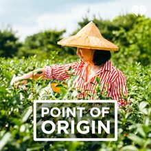 Point of Origin Podcast Logo