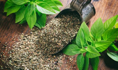 Fresh and dried basil on a wooden surface