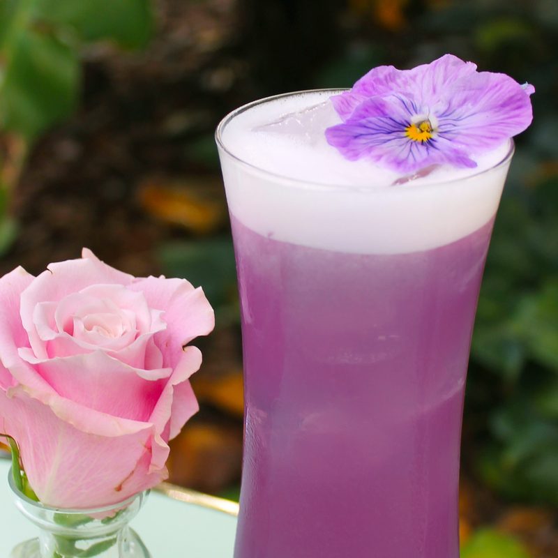 Colorful purple drink at Swan