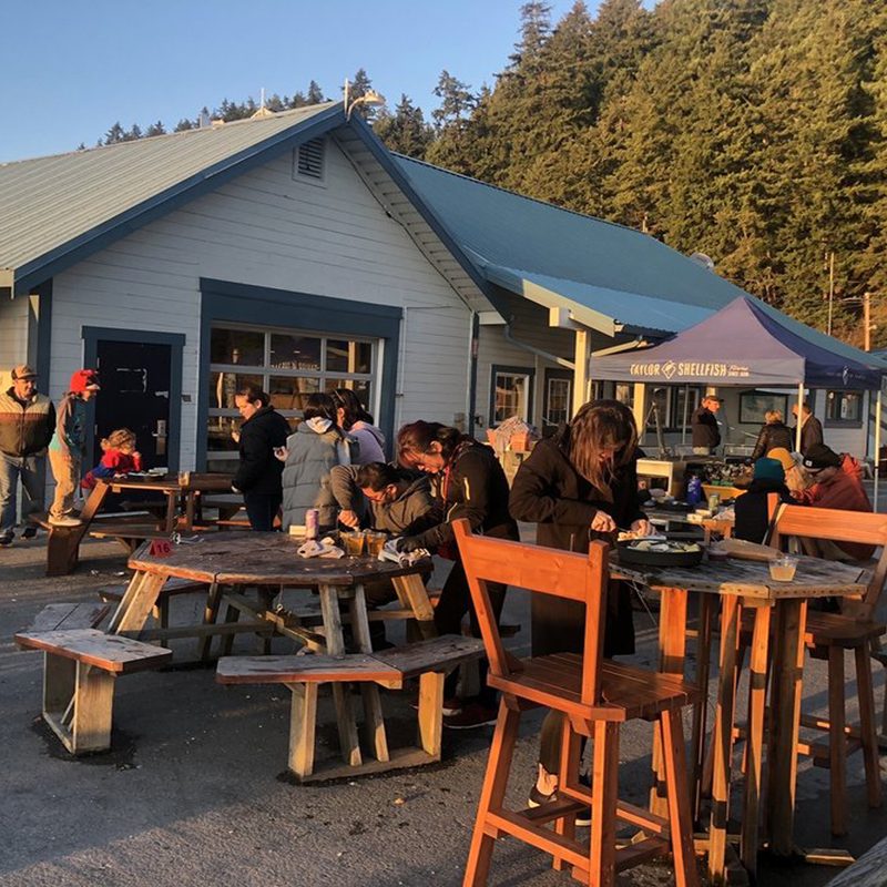 People dining outdoors at Taylor Shellfish Farms.
