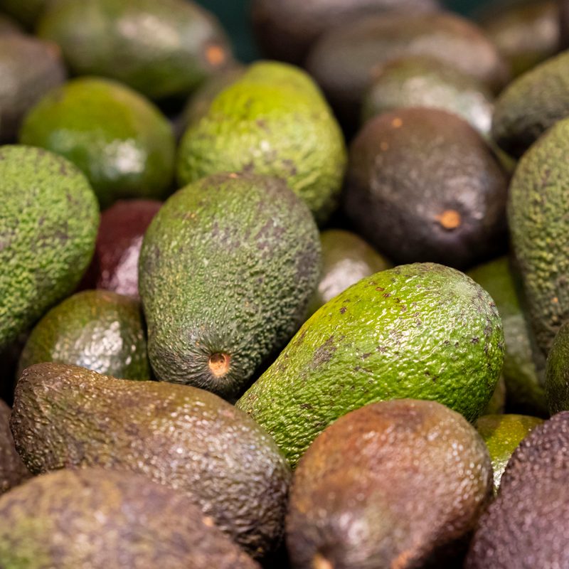 Many ripened avocados