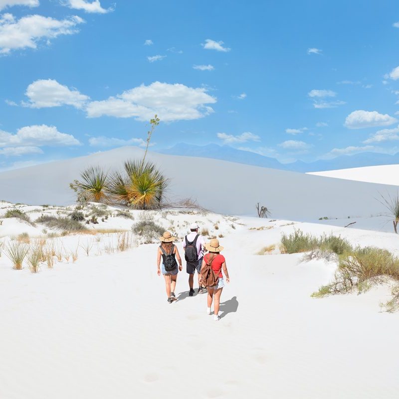 White sand dune in New Mexico.