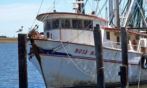 Boat docked in Apalachicola Bay