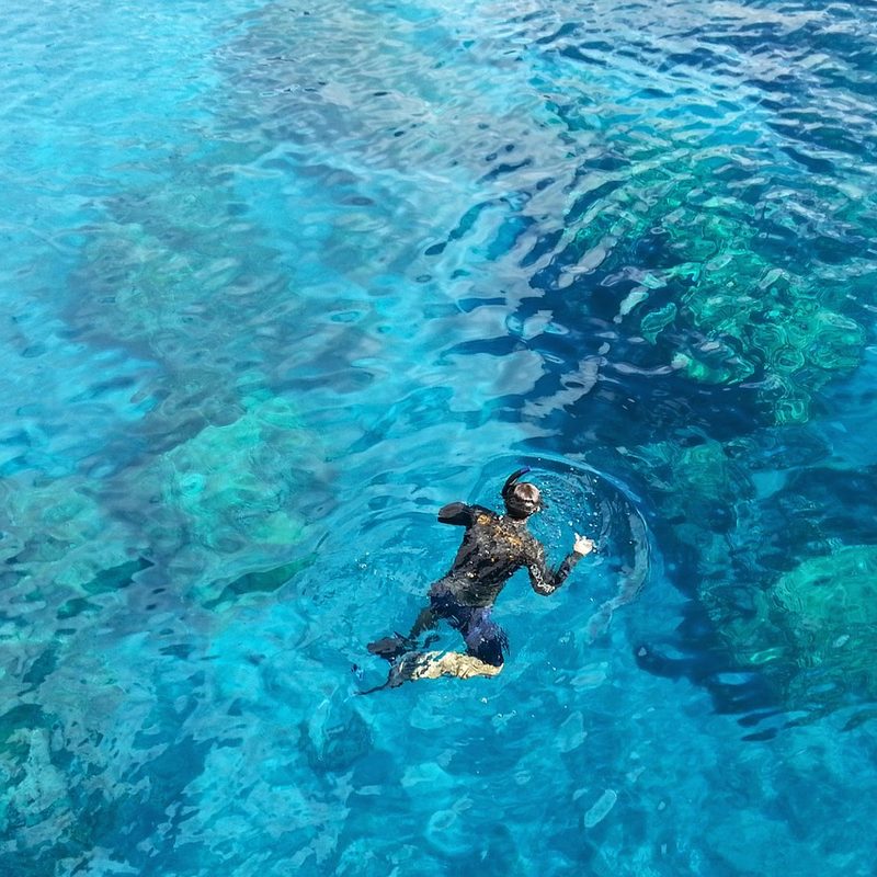 Overhead view of a person snorkeling over coral in Dry Tortugas National Park.