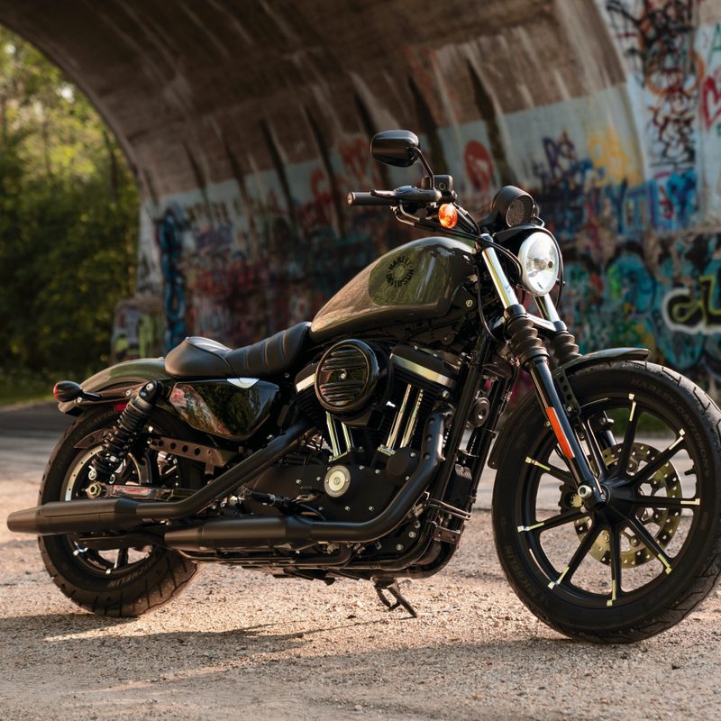 Harley-Davidson Iron 883 motorcycle in a tunnel on the side of a road with trees in the background