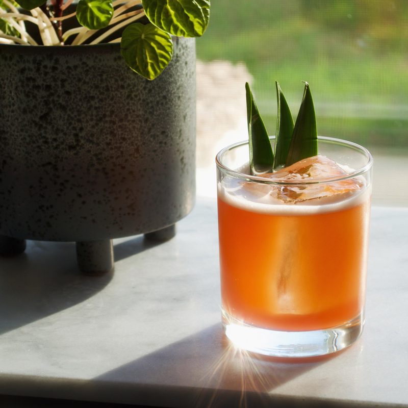 Jungle Bird cocktail variation