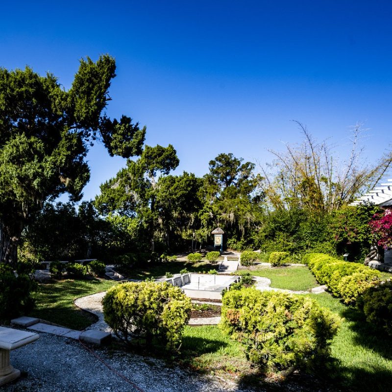 View of Marie Selby Botanical Gardens.