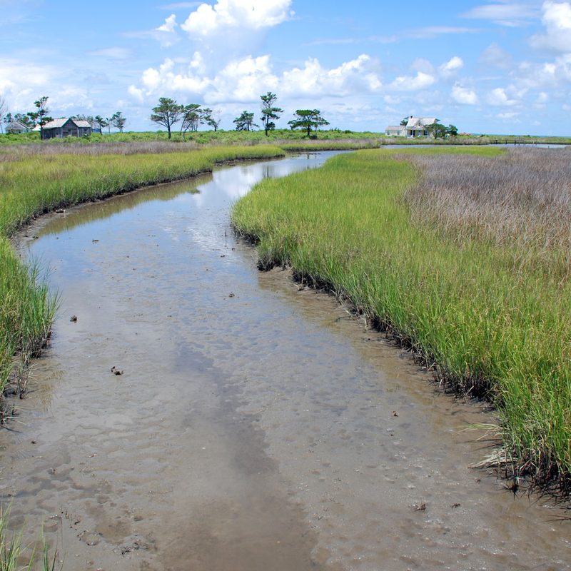 Portsmouth Island in The Outer Banks, North Carolina