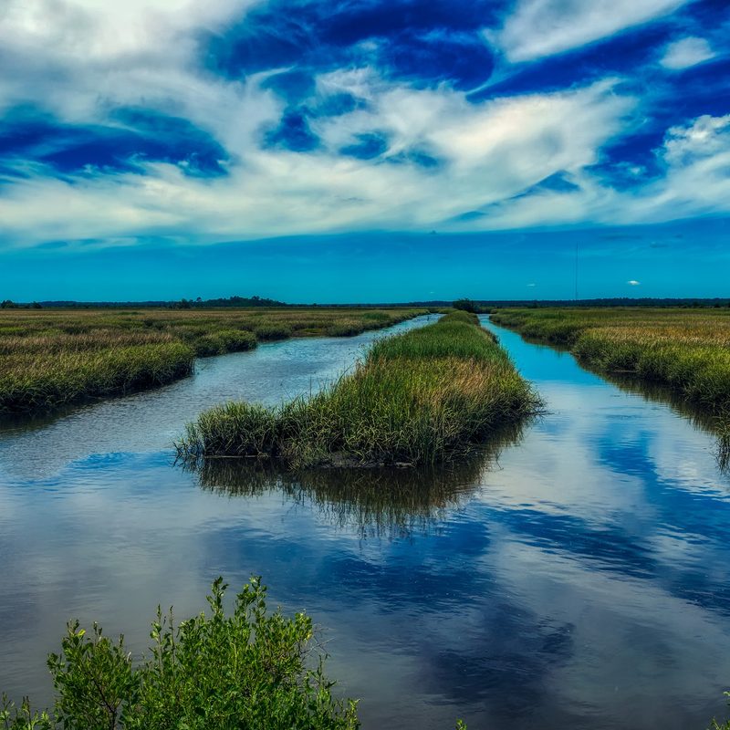 Georgia marshes