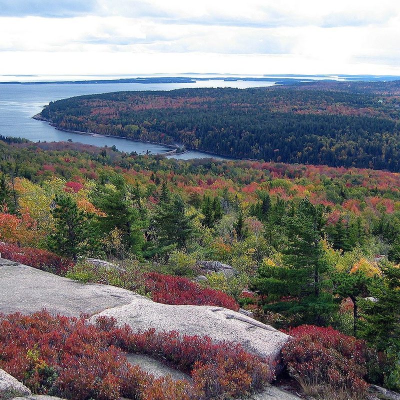 fall leaves over Acadia National Park