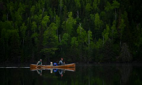 boundary waters minnesota guide an adventurers to cruising the