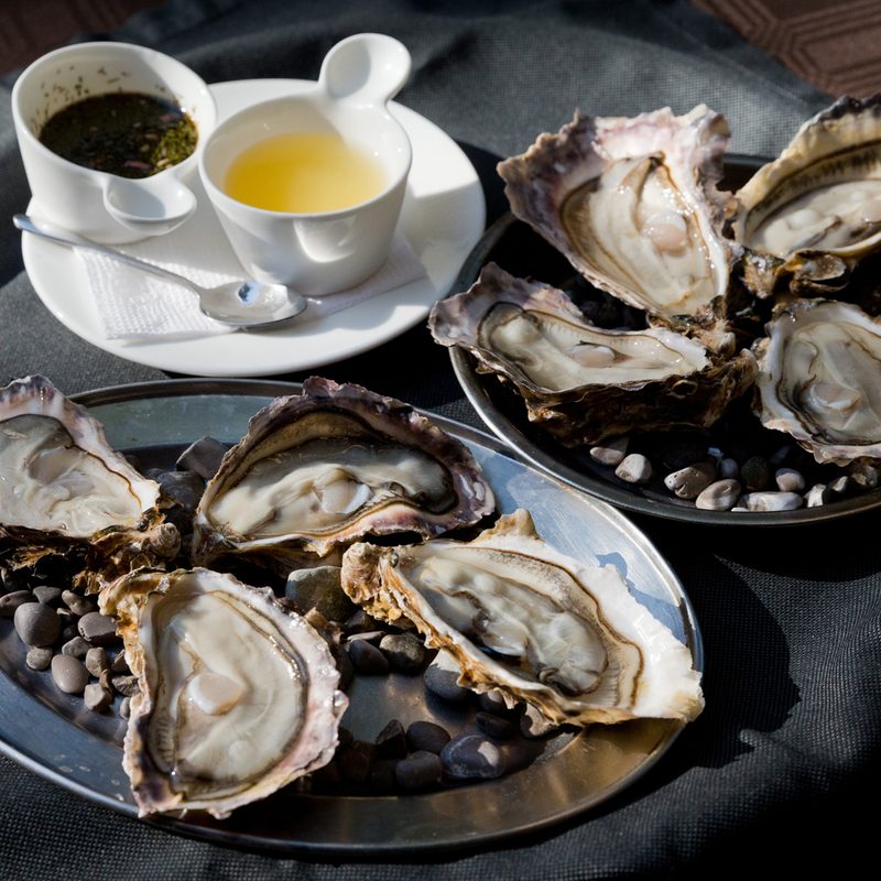 oysters to eat.
