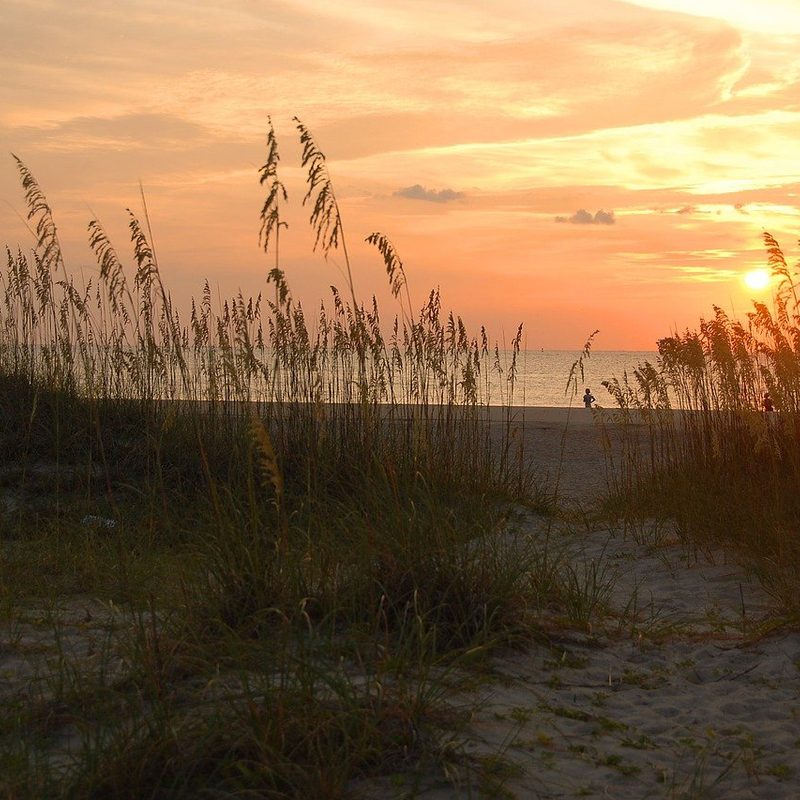 sunrise behind sea oats