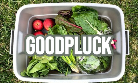 brands giving back goodpluck detroit basket farmers