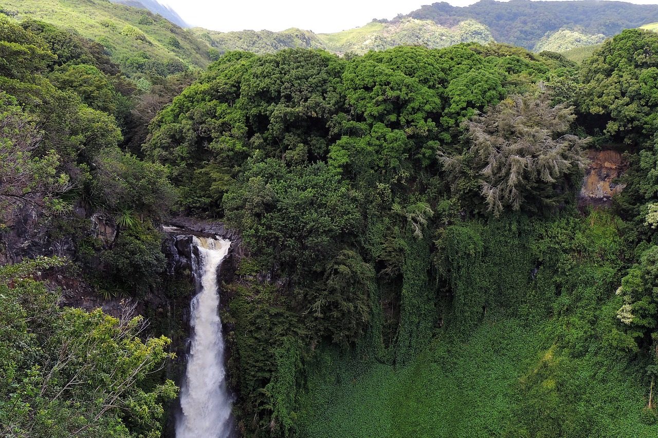 waterfall in Hawaii park