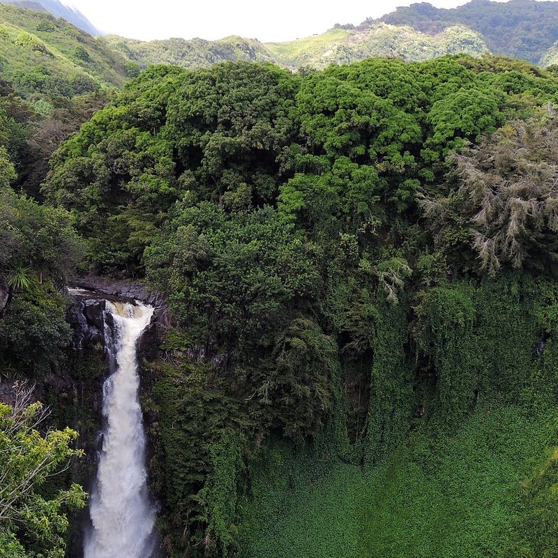 waterfall in Hawaii park