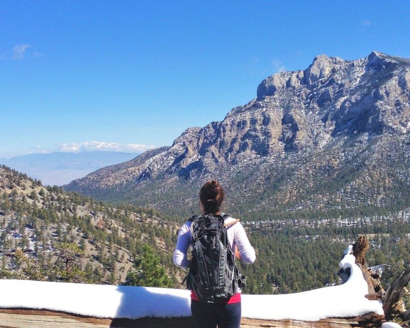 Mount Charleston