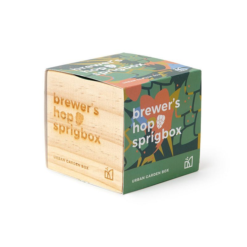 Brewer's Hop Growing Kit on a white background.