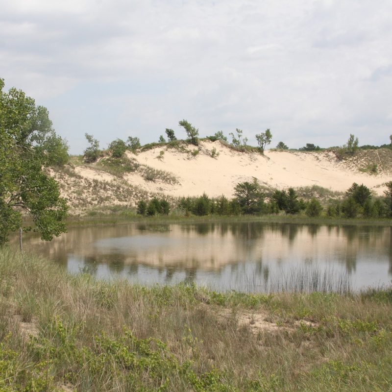Boardwalk steps down a dune at Indiana Dunes National Park