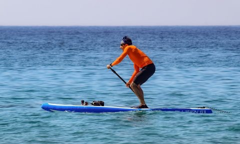 best inflatable paddle boards paddleboarding 3710064 1920