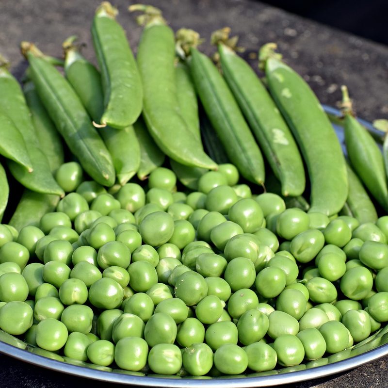 Snap peas shelled